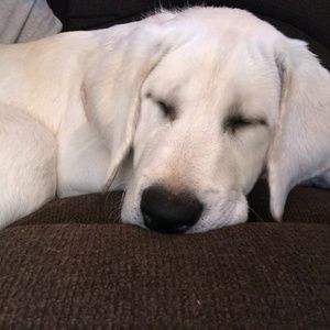 Meet your Posher, Lori